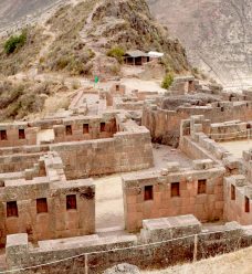 PISAC1