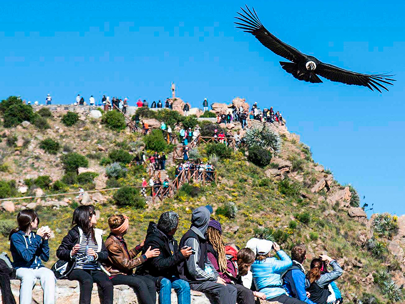 colca4